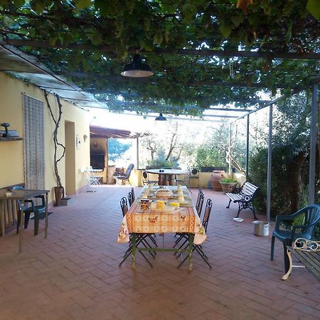 Villa Agriturismo Il Cavallone Montelupo Fiorentino Exterior foto